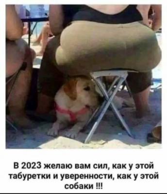 Прикрепленное изображение: photo_2023-01-01_14-27-50.jpg